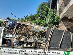 Shed Removal in Unionville, TN