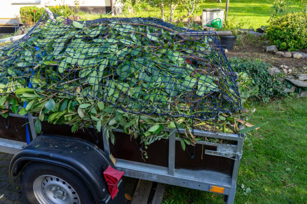 Best Carpet Removal and Disposal  in Unionville, TN